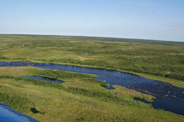 Kola_1399 Tundra Schatten Heli